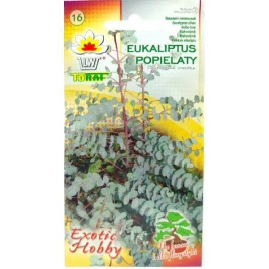 Eikalipts sudraba naudas koks (pelēkais) 20 sēklas PL201604335/699RP