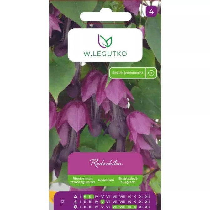 Rodohitons violets 6sēklas