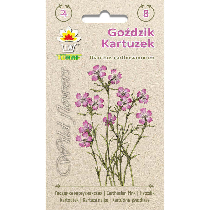 Kartūza neļķe rozā 0.2g