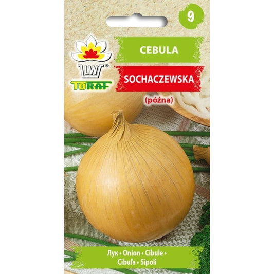 (PASE) Sīpoli Sochaczewska 5g
