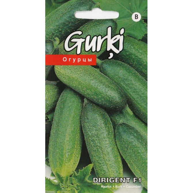 Gurķi(KS) Dirigent F1 15 sēklas