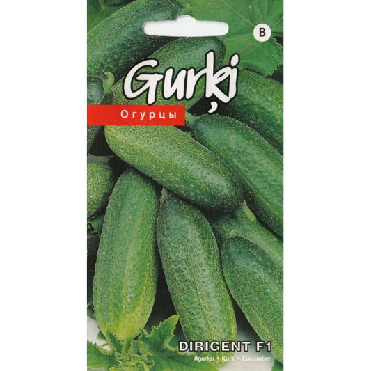Gurķi(KS) Dirigent F1 15 sēklas