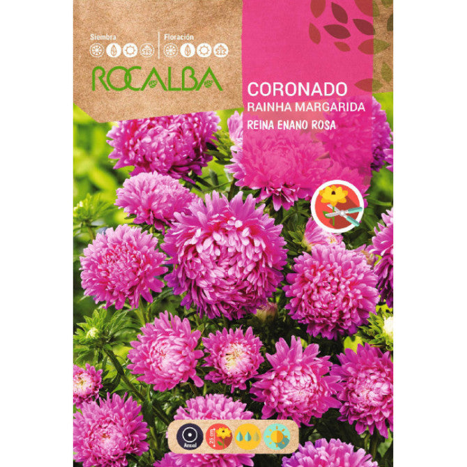 Asteres (ROCALBA)zemās rozā 2g