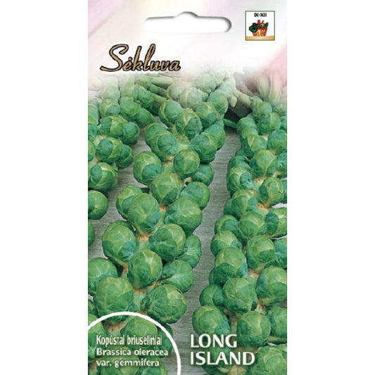 Kāposti Briseles LONG ISLAND 1g