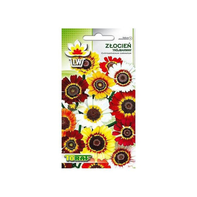 Krizantēma trīskrāsu (ķīļveida) 0.4g NL184055.28