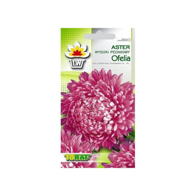 Asteres OFELIA 1g NL184055.9