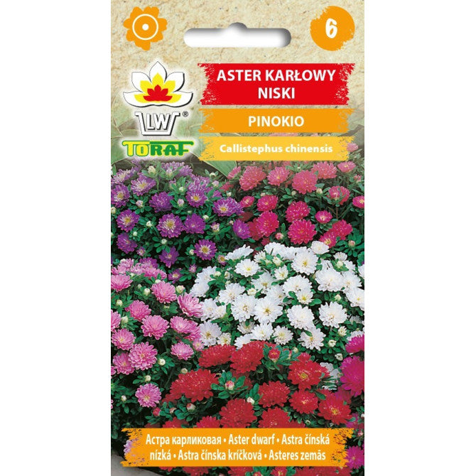 Asteres zemās Pinokio 1g DE78836;NL181742.2