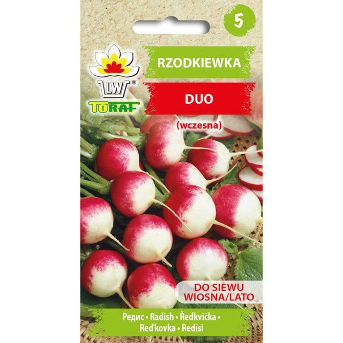Redīsi DUO 10g IT02388CIN0AP