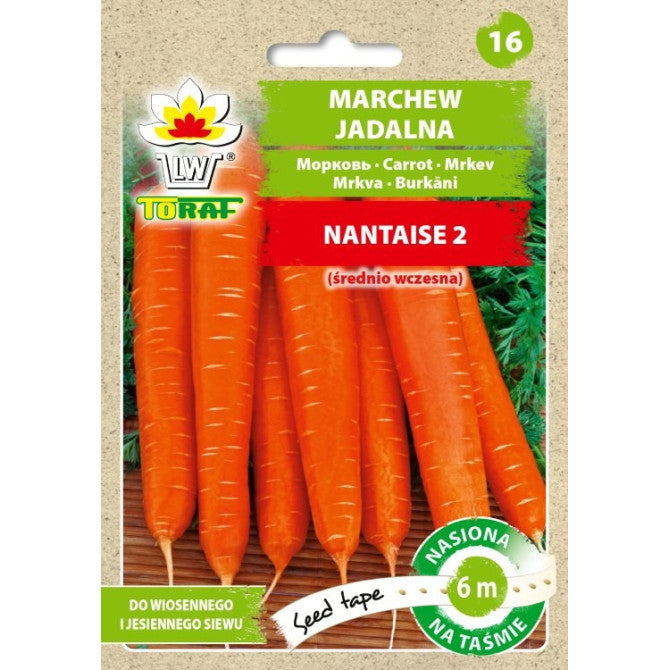 LENTE Burkāni Nantaise 2, 6m PL802/23/7857/B003 ST