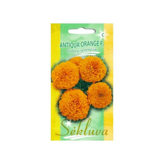 Samtenes ANTIQUA ORANGE F1, 15 sēklas