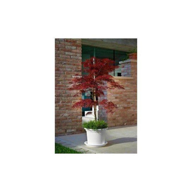Puķu pods GEO balts 35cm