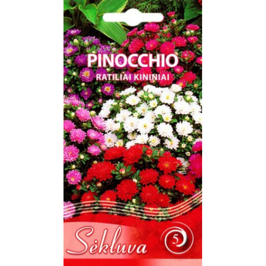Ķīnas asteres PINOCCHIO 0.5g SEKLUVA