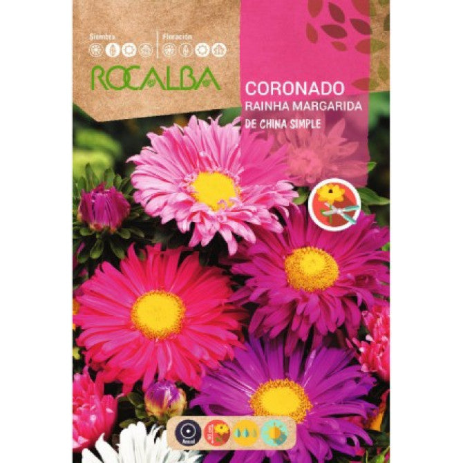 Asteres De China Simple 6g
