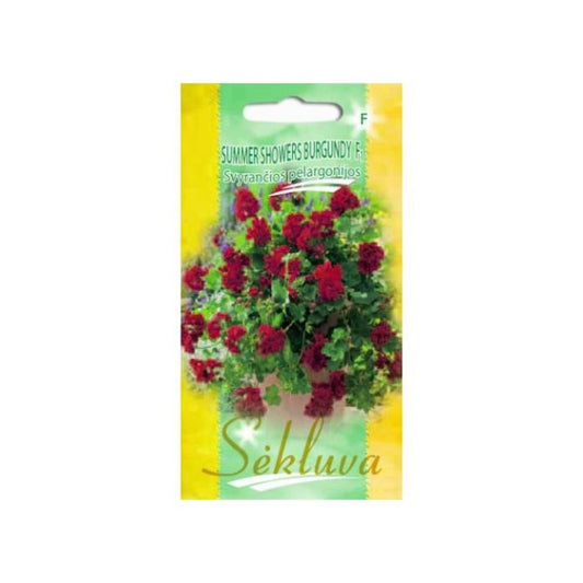 Pelargonijas SUMMER SHOWERS BURGUNDY F1 5 sēklas S.N.9962