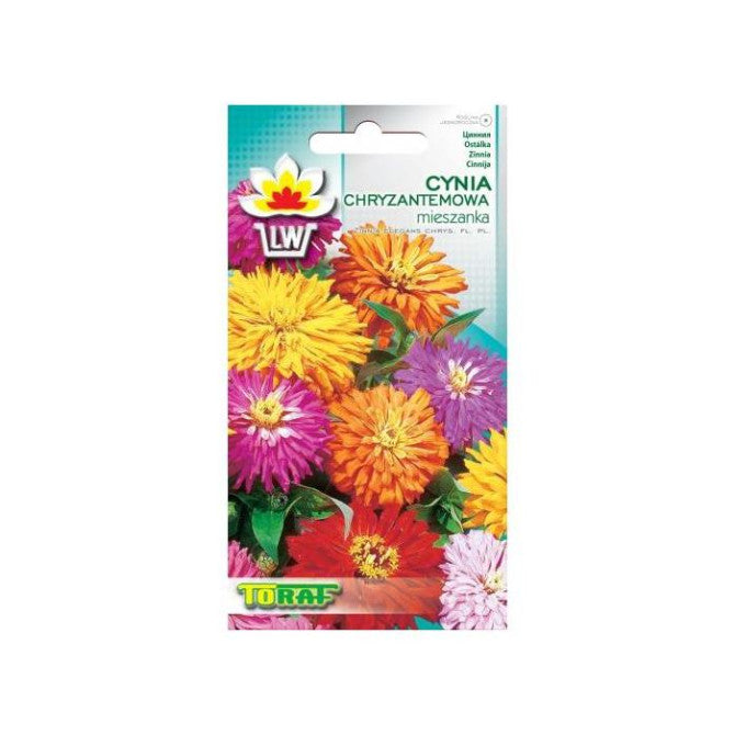 Cinnijas krizantēmu maisījums 1g PL802644953/062;NL181491.33