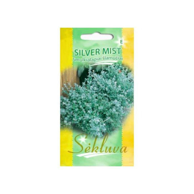Smalklapu krustaine SILVER MIST 8 sēklas S.N.10420
