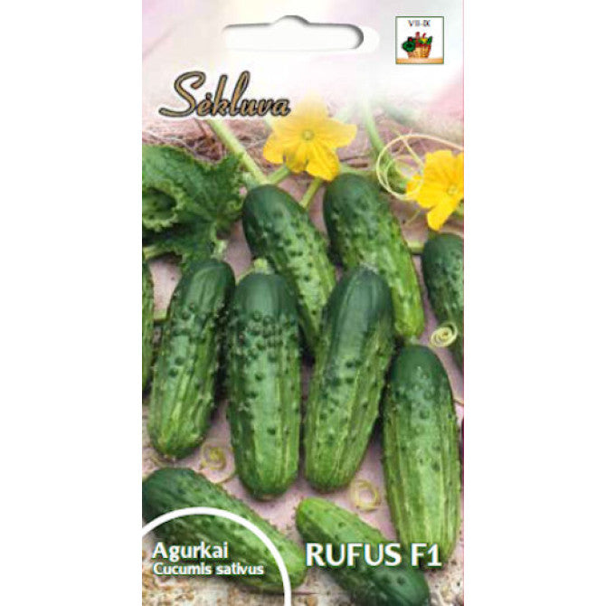 Gurķi (SEKLUVA) RUFUS F1, 2g S.N.9902