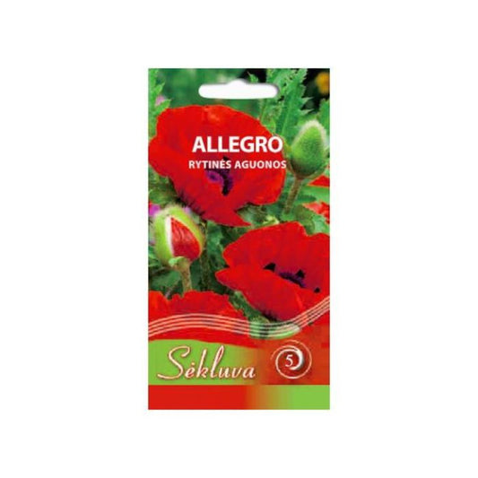 Magone ALLEGRO 0.2g