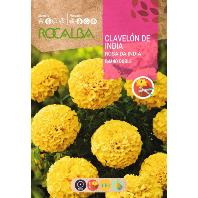Samtenes rosa de india enano doble 4g