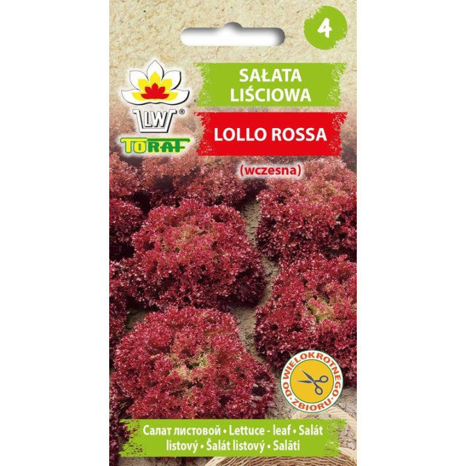 Salāti Lollo Rossa 1g IT15326CIN0BE;IT33734CIN0CE