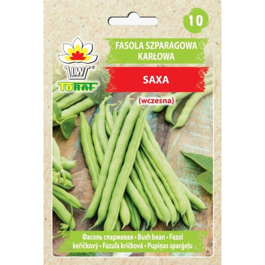 Pupiņas Saxa zaļas30g 19848CIN0BE ST(PASE UZ PACIŅAS)