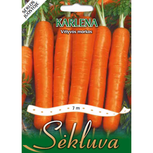 Burkāni uz lentas KARLENA 7m