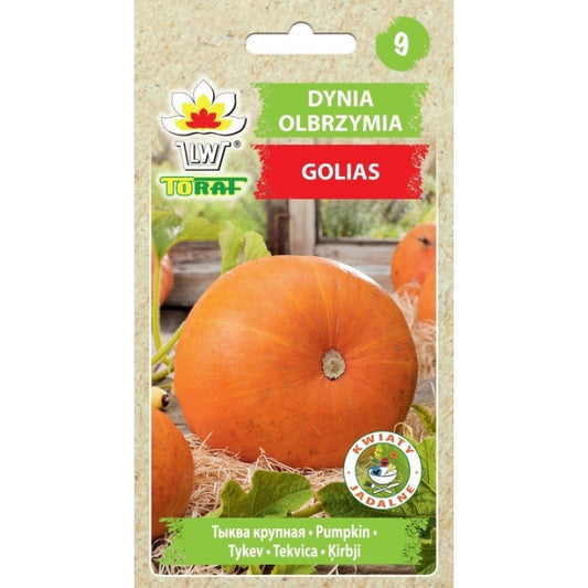 Ķirbis Golias 3g CZ9-0051-90170-01 ST