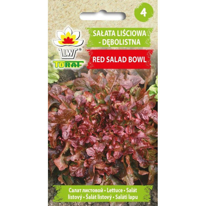 Salāti ozollapu RED SALAD BOWL 1g IT30974CIN0CX ST