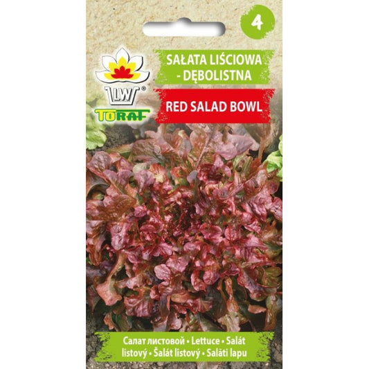 Salāti ozollapu RED SALAD BOWL 1g IT30974CIN0CX ST