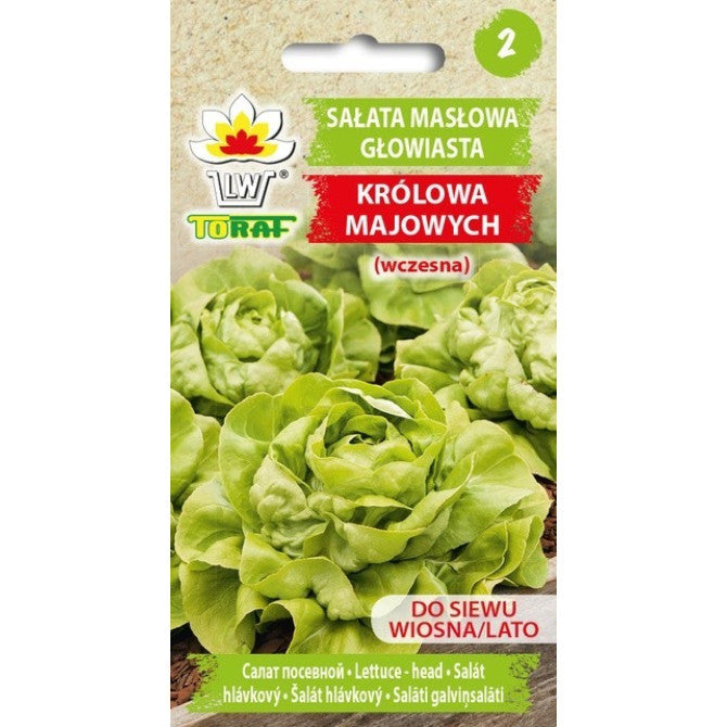 Salāti Krolowa Majowych 2g DE933850;IT3824CIN0CP ST