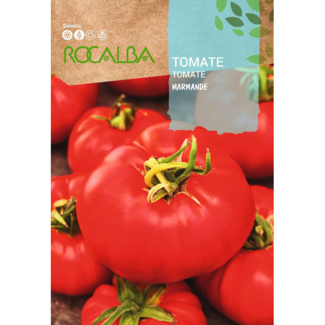 Tomāti Marmande 1g(PASE UZ PACIŅAS)