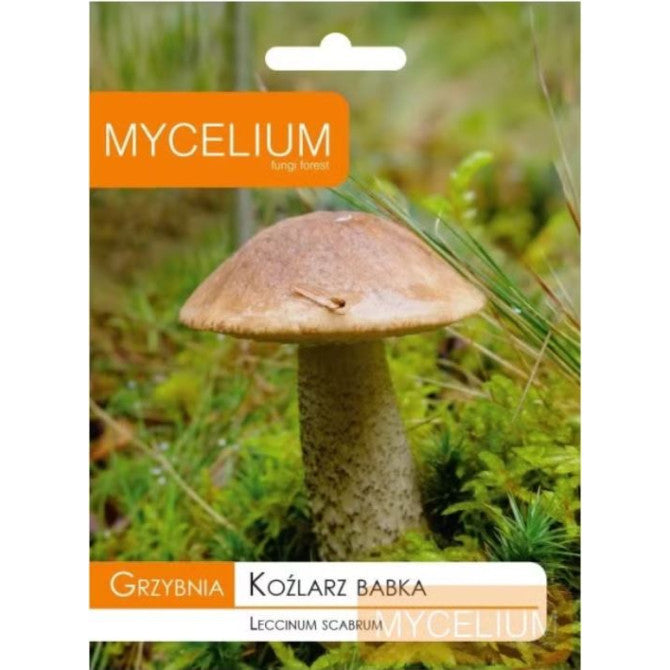 Bērzubekas micēlijs 10g