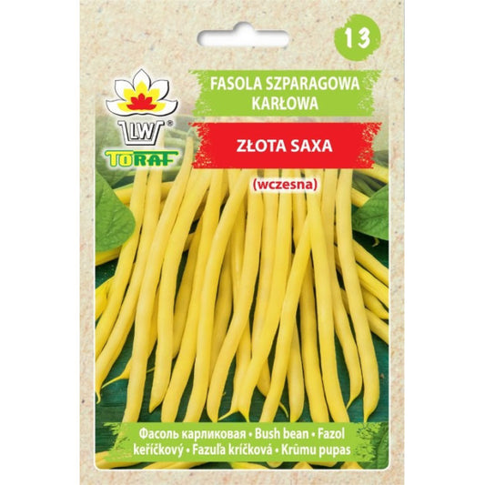 Pupiņas Zlota Saxa 50g 48336CIN0CX ST(PASE UZ PACIŅAS)