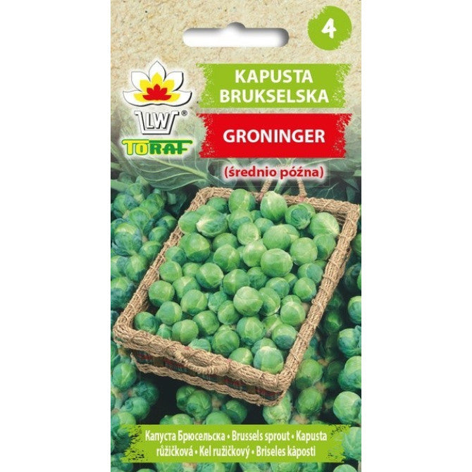 Kāposti Briseles Groninger 2g DE80016020179058