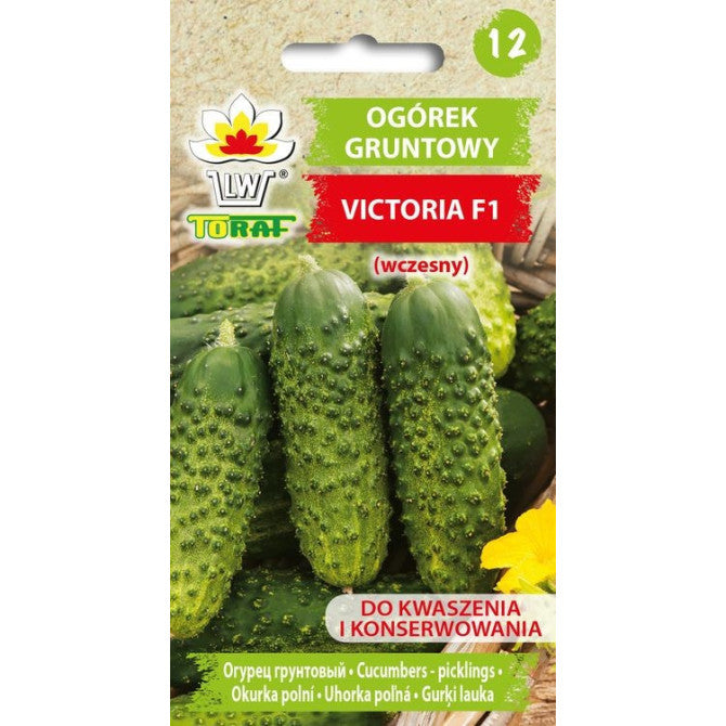Gurķi Victoria F1, 5g PL702/05/16/HR12