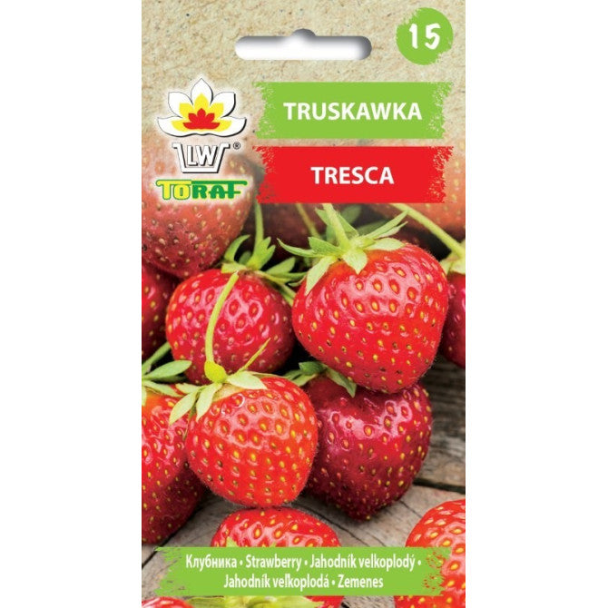 Zemenes TRESCA 20 sēklas DE79194 ST
