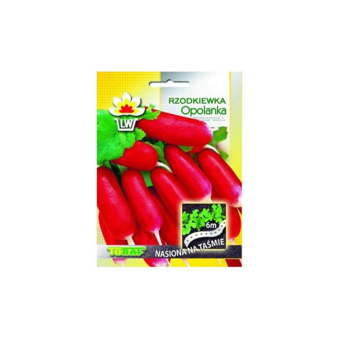 LENTE Redīsi Opolanka 6m IT02391CIN0AP ST