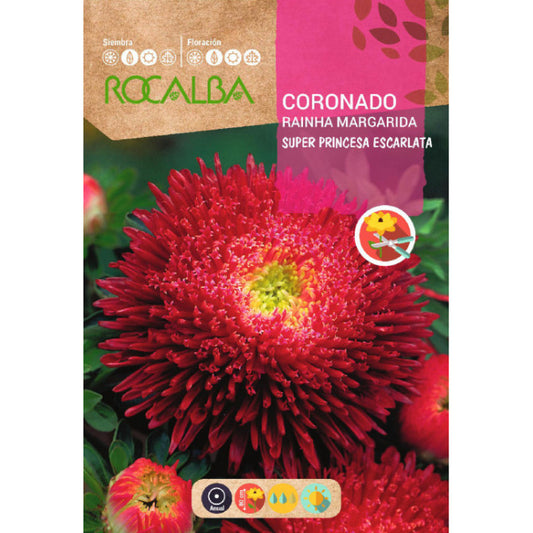 Asteres(ROCALBA) sarkanas Super Princesa 2g