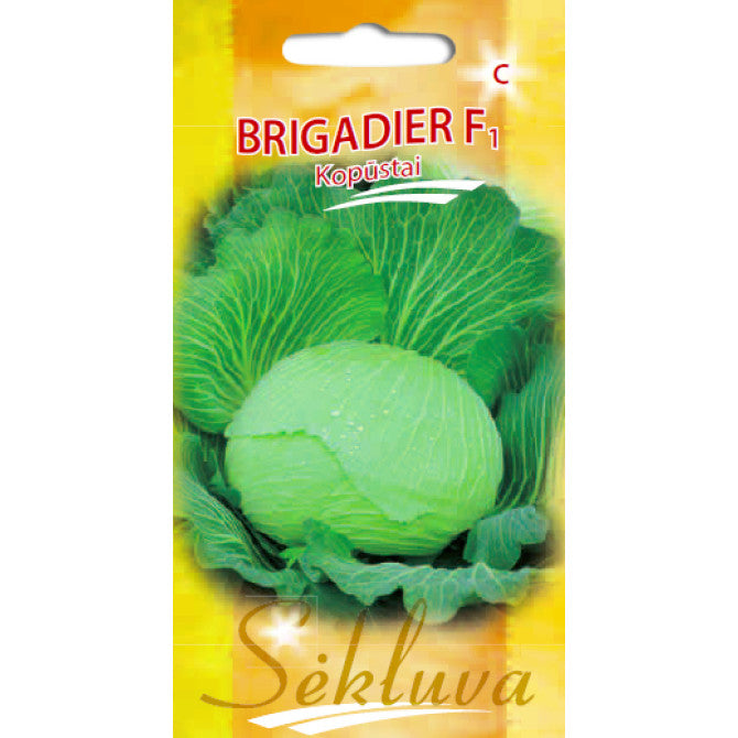 Kāposti BRIGADIER F1,40 sēklas