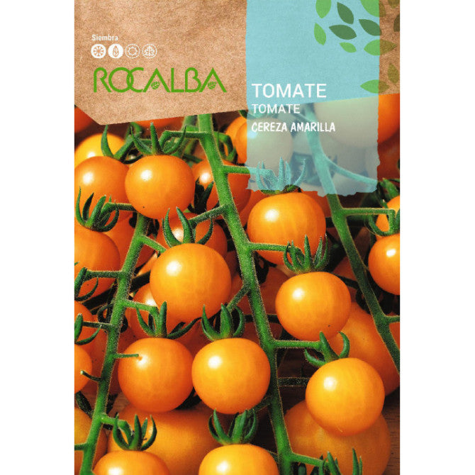 Tomāti Cereza Amarilla 0.1g (PASE UZ PACIŅAS)