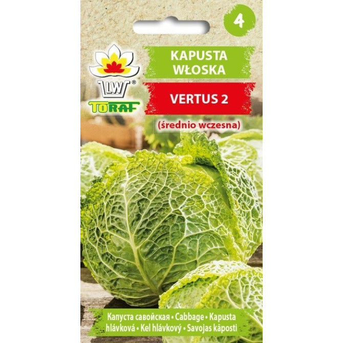 Kāposti savojas Vertus 2 2g IT50000CIN00 ST