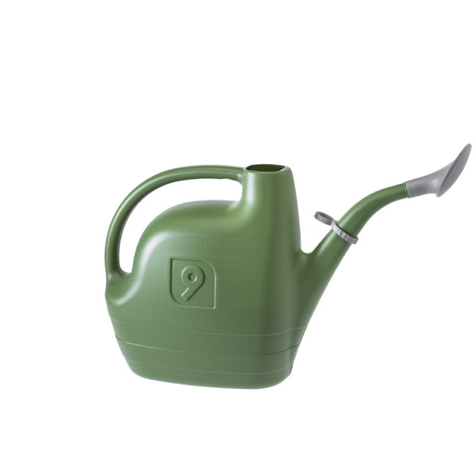 9L OLIVE Lejkanna Albatross