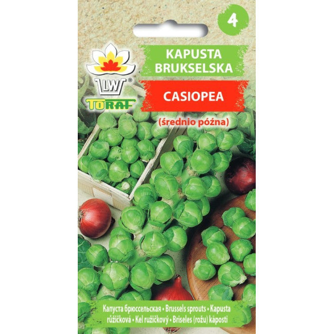 Kāposti briseles Casiopea 1g