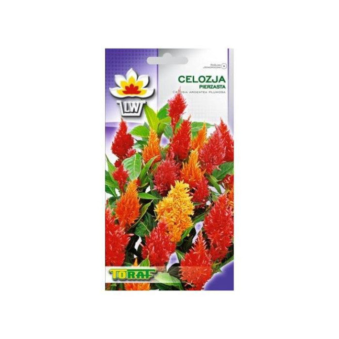 Celozija spalvu 0.5g NL173728.17;NL181963.1