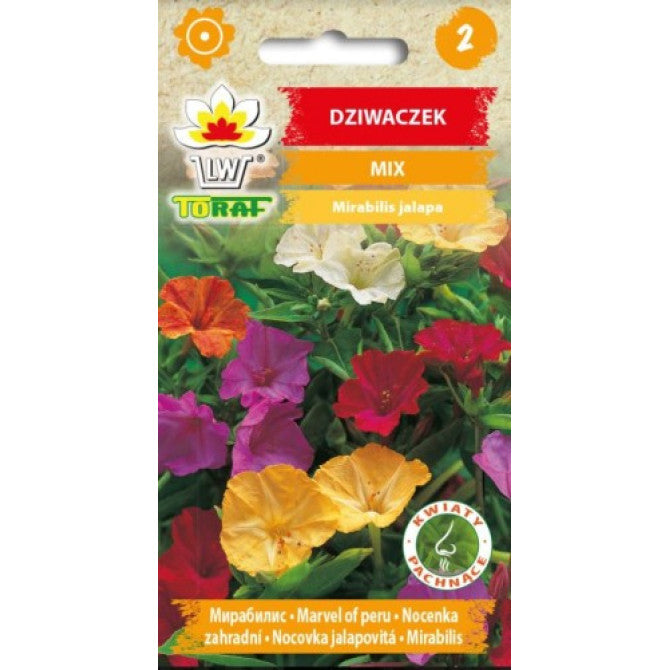 Mirabilis- Peru brīnumpuķe 2g NL179843.2;NL180466.5