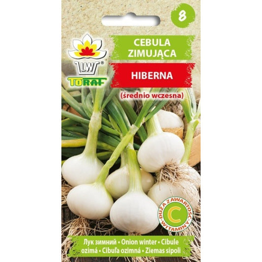 Sīpoli ziemas Hiberna 2g(PASE UZ PACIŅAS) 0-0051-68824-01