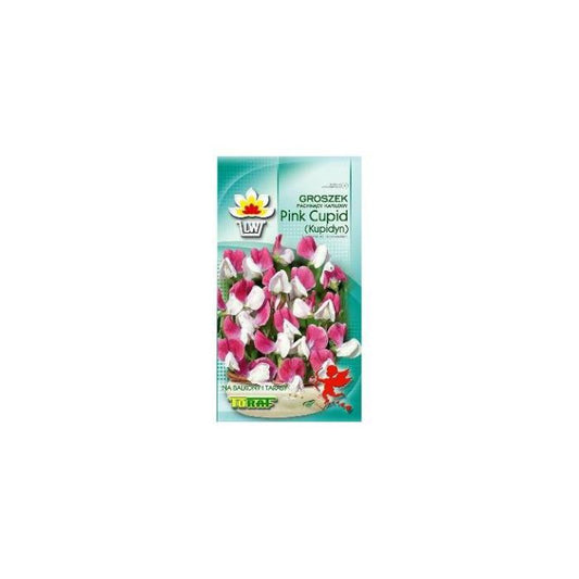 Puķzirnīši zemie Pink Cupid 2g