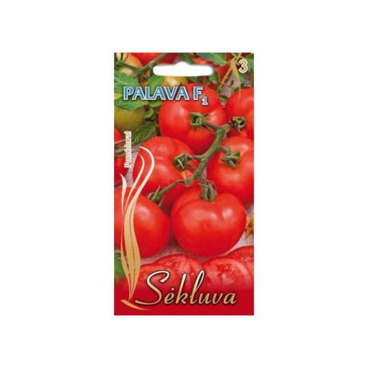 Tomāti PALAVA F1, 15 sēklas