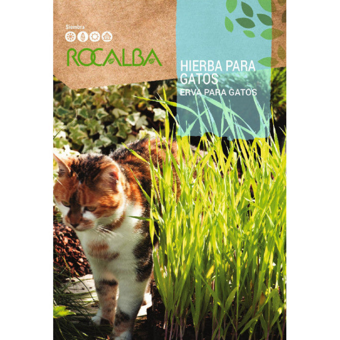 ROCALBA Zāle kaķiem/Lieldienām 10g