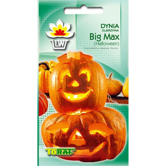 Ķirbis Big Max Halloween 3g IT20250CIN0BA ST
